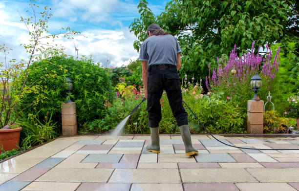 Best Pre-Holiday Cleaning  in Newcastle, WA