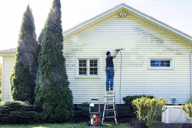 Best Sidewalk and Walkway Cleaning  in Newcastle, WA